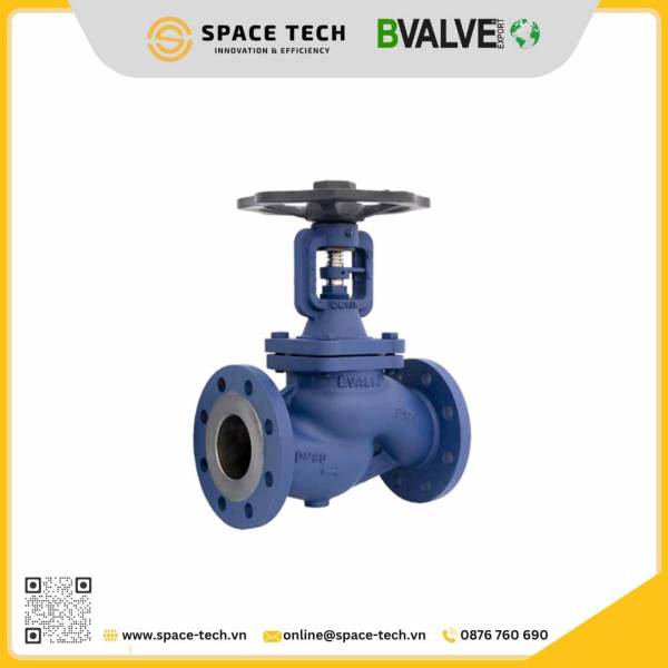 Globe valve BVALVE BV25061