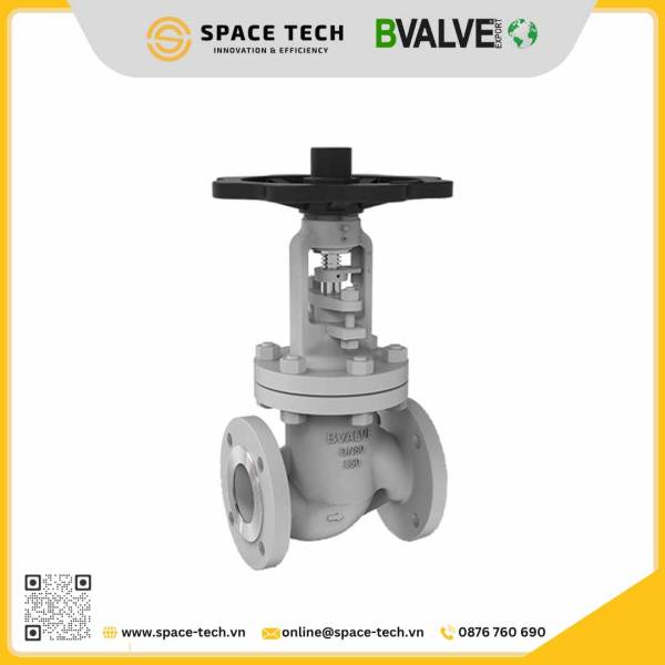 Globe valve BVALVE BV25065