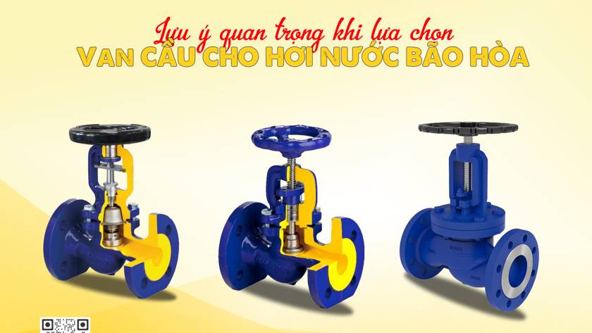 van cau hoi bao hoa 3