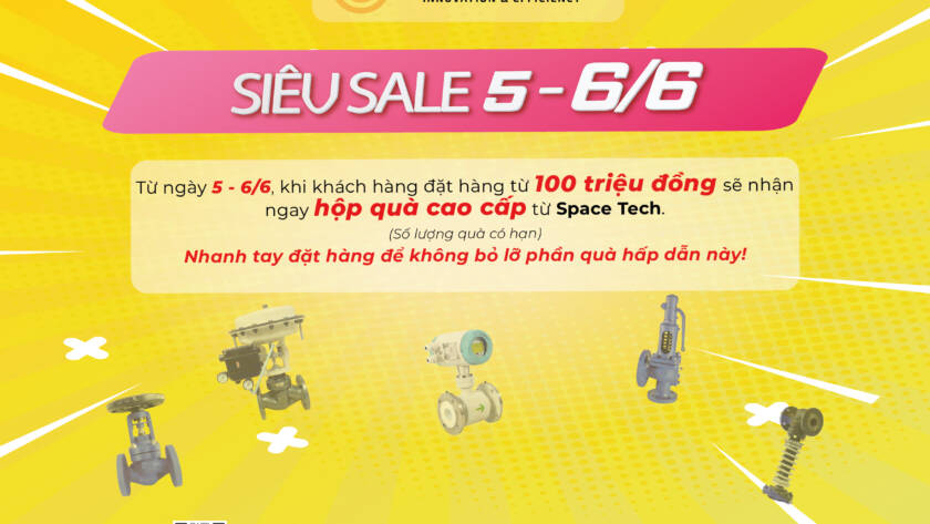 SIEU SALES 6.6